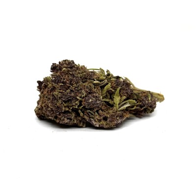 Cbd purple Haze Indoor Cbd purple Haze Indoor
