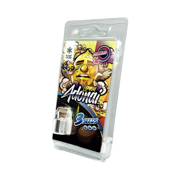 3 Graines Lemon Adonai FÉMINISÉE | Plant of Life