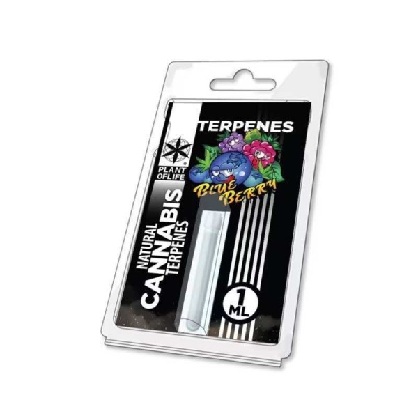 Terpène Blueberry Diesel | PLANT OF LIFE