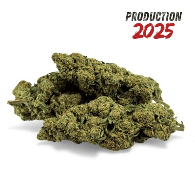 Fleur de CBD Super White...