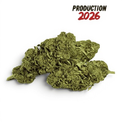 Fleur de CBD Super Skunk...